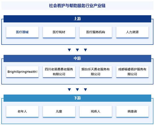 中国社会看护与帮助服务行业发展驱动因素 市场运行格局分析报告