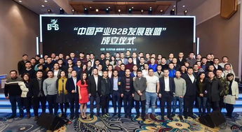 重磅 中国产业b2b发展联盟盛大发布 20多名投资大咖 80多家一线企业共同见证